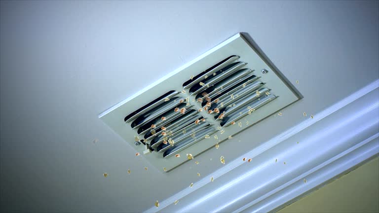 Best Affordable HVAC Duct Cleaning  in Dahlgren, VA