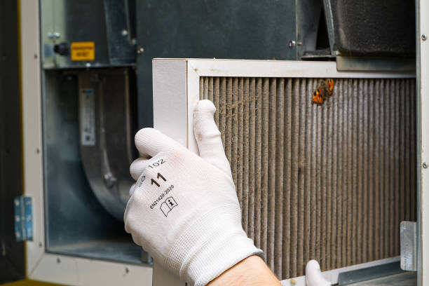 Best Affordable Air Duct Cleaning  in Dahlgren, VA